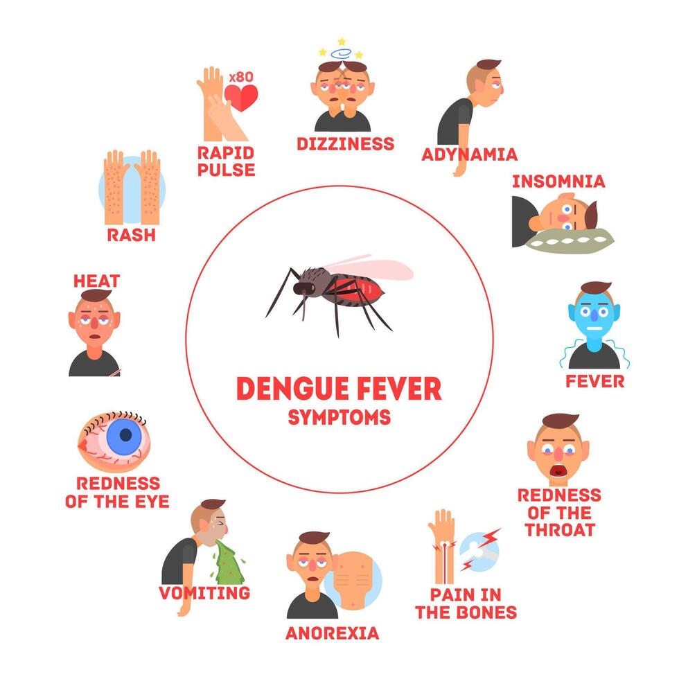 Dengue Fever Symptoms Information Banner Template Illustration vector