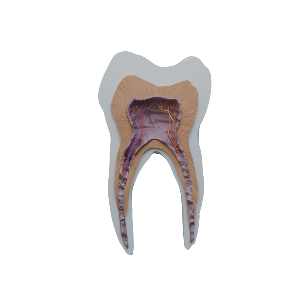 3d Render of cross tooth png