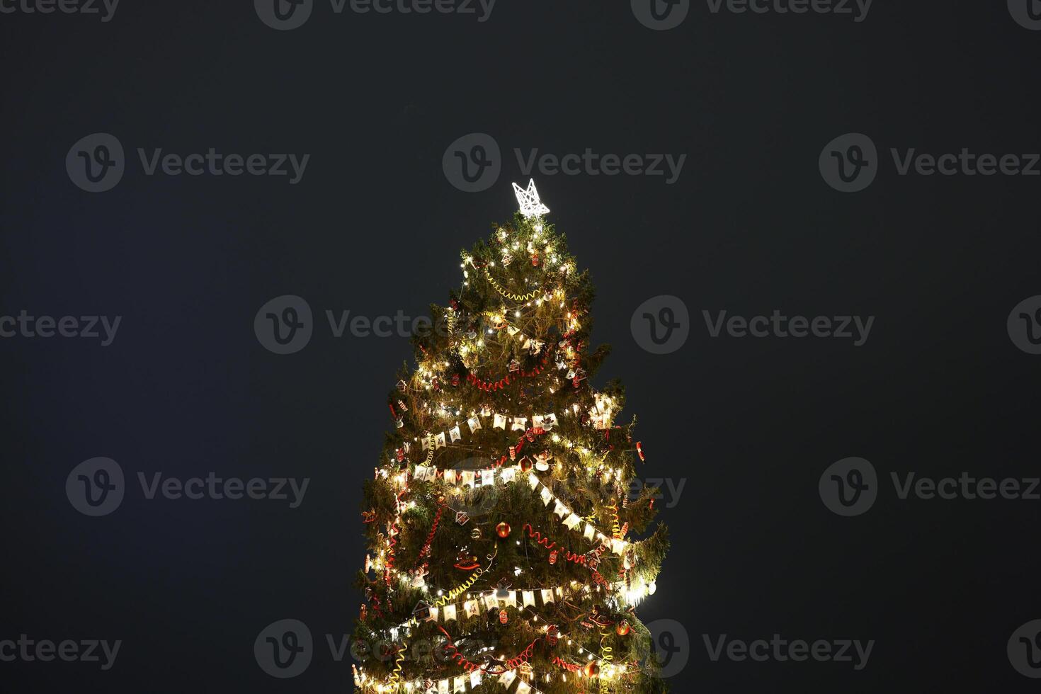 A beautifully Illuminated Christmas Tree adorned with Decorative Lights for the festive season photo