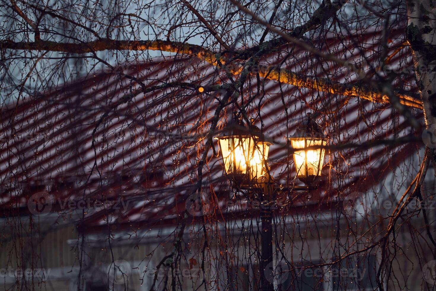 Cozy Lanterns That Glow Brightly Through Rainy Branches Create a Magical Atmosphere photo