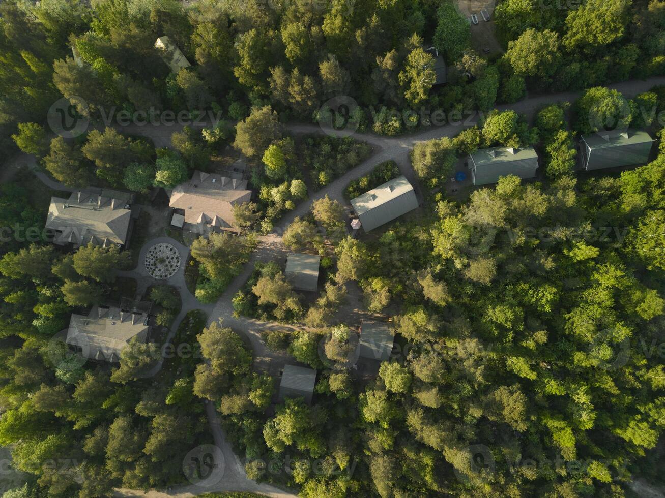 A beautiful aerial view showcases homes nestled peacefully among the lush green forest photo