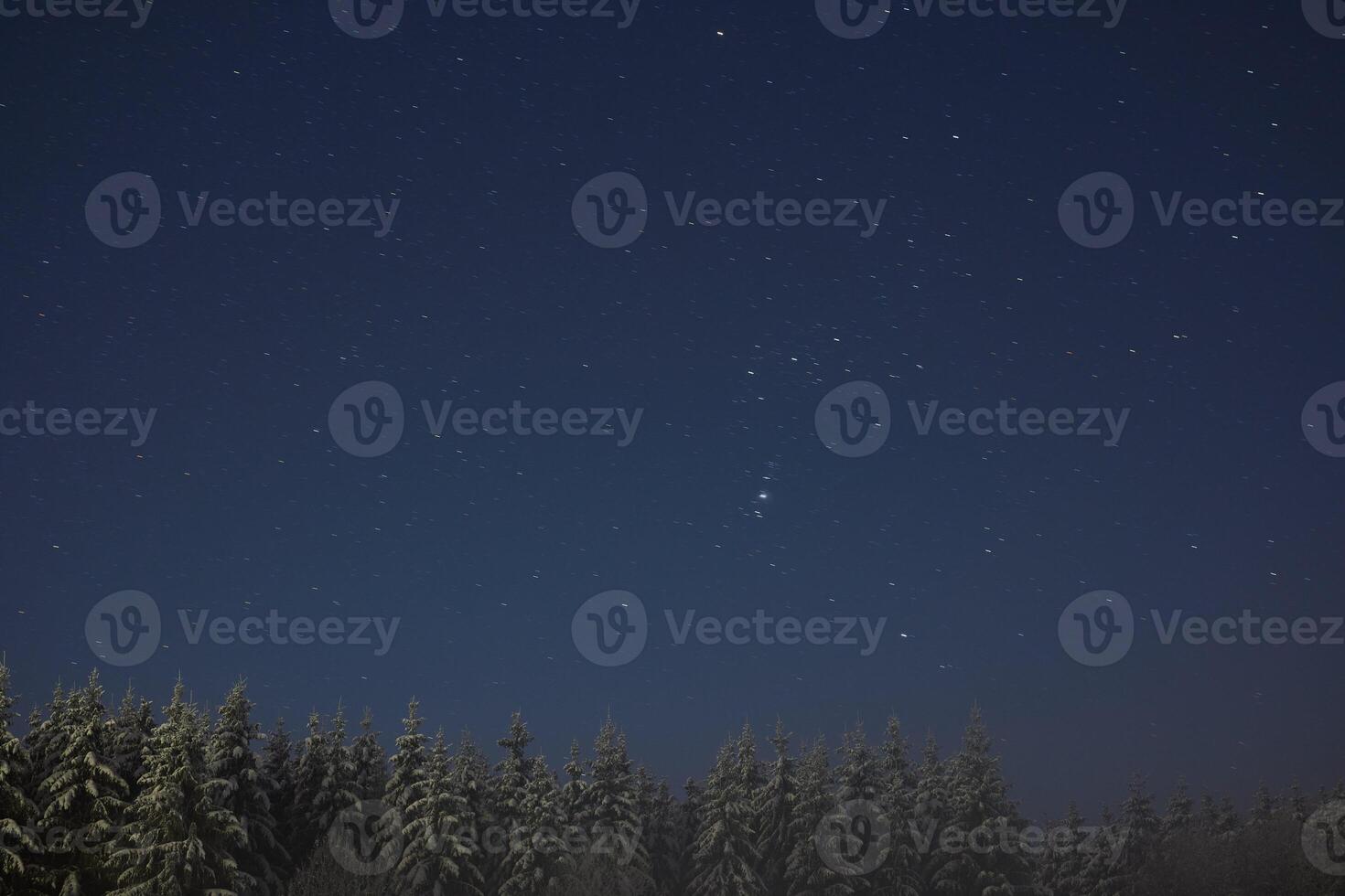 Starry Night Over Snowy Forest Landscape, showcasing a breathtaking view of the serene night sky photo