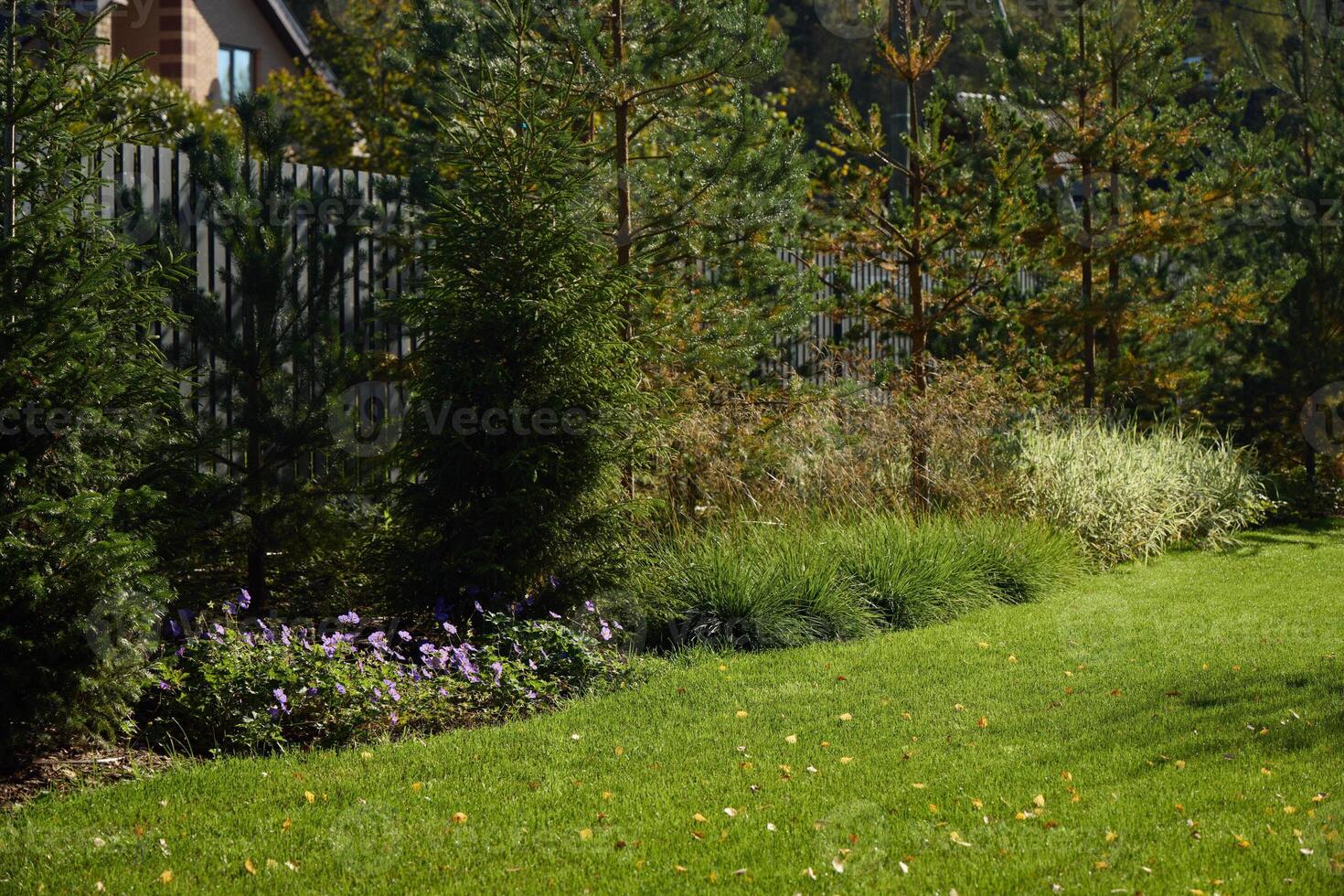 A Beautiful Lush Garden Landscape Filled with Colorful Flowers and Vibrant Green Grass photo