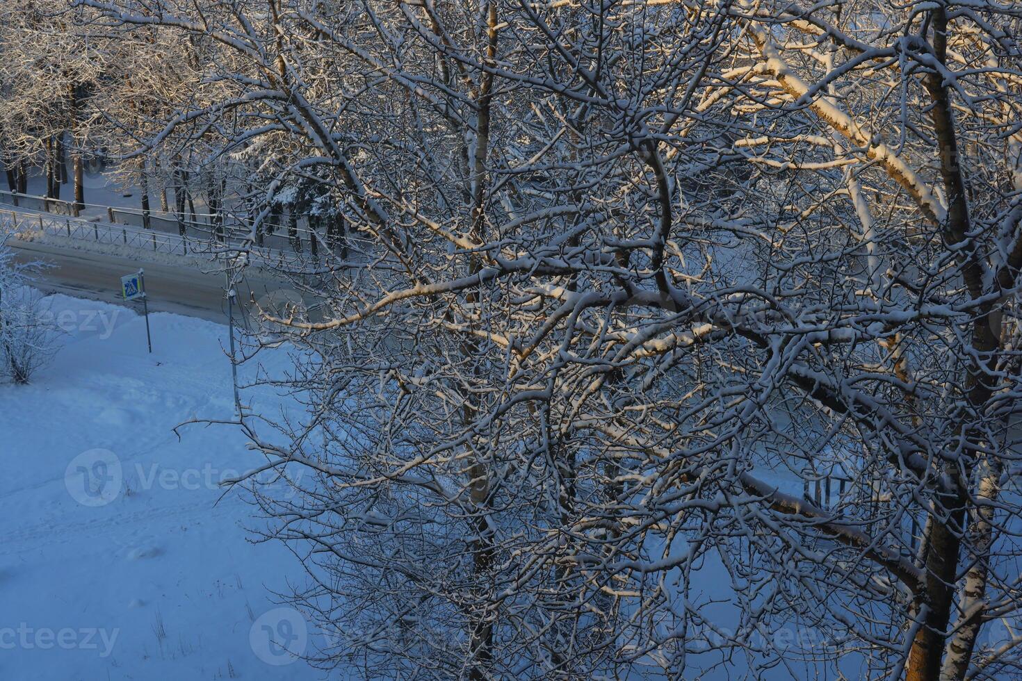 Experiencing a Winter Wonderland with snowcovered trees and icy branches is captivating photo