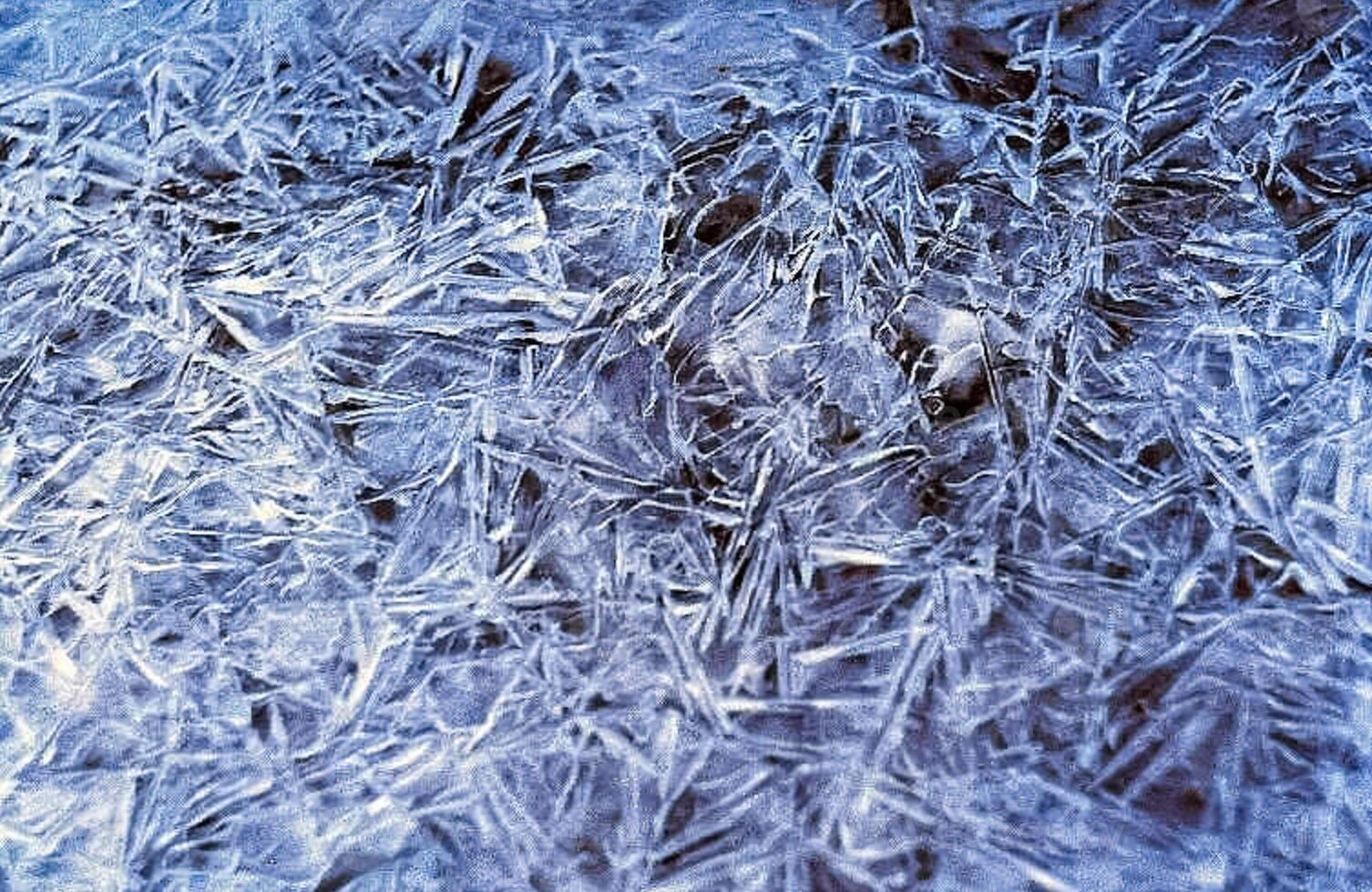 Snow and frost on tree branches and on grass. Winter in Sayan, nature Russia. photo