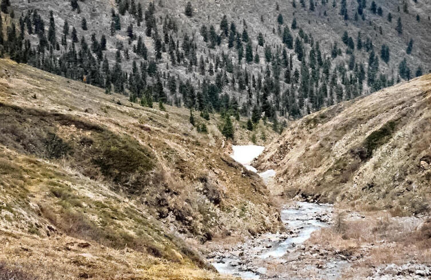 mountains of the sayans. The nature of the mountains is sayan. Vegetation in the mountains photo