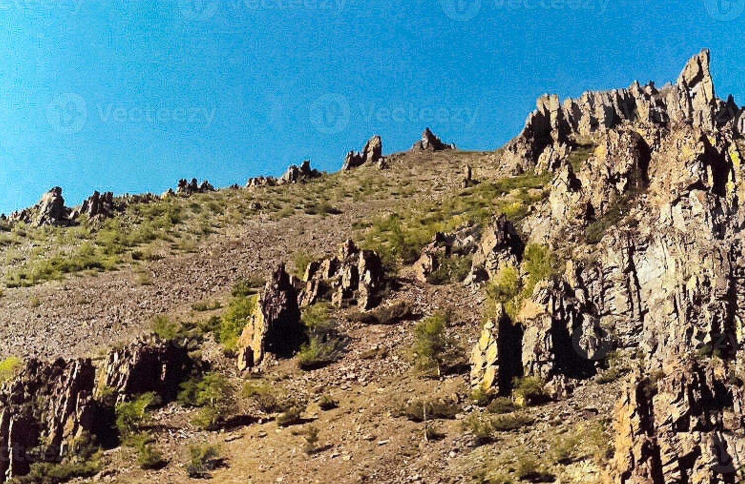 mountains of the sayans. The nature of the mountains is sayan. Vegetation in the mountains photo