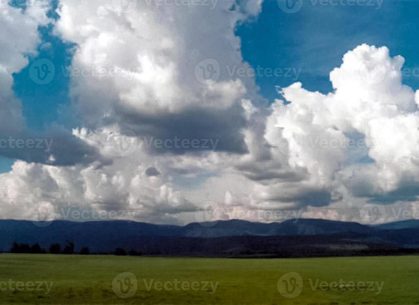 mountains of the sayans. The nature of the mountains is sayan. Vegetation in the mountains photo
