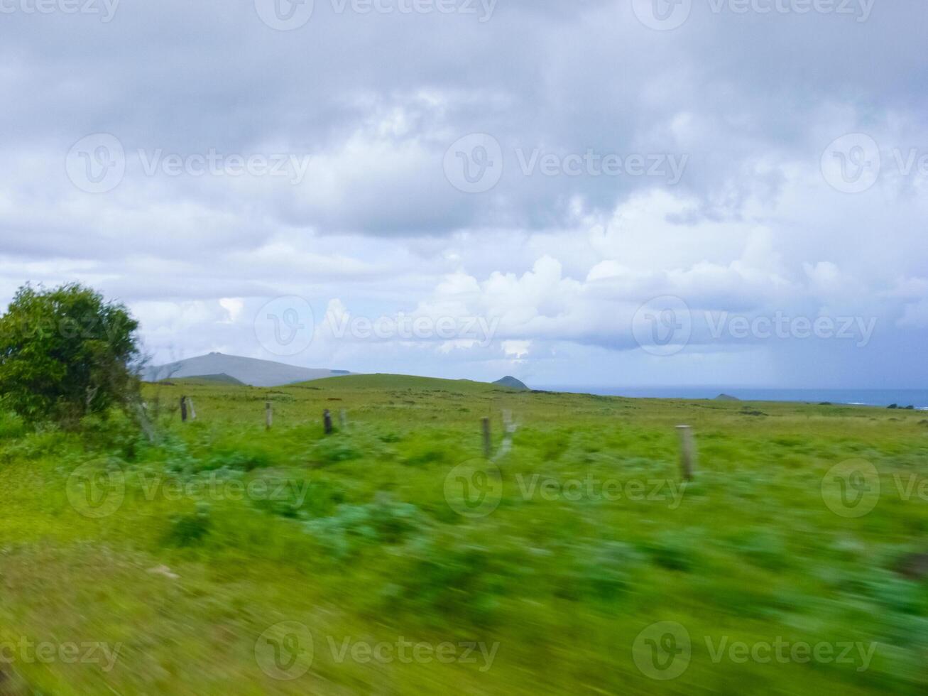 nature of Easter Island, landscape, vegetation and coast. photo