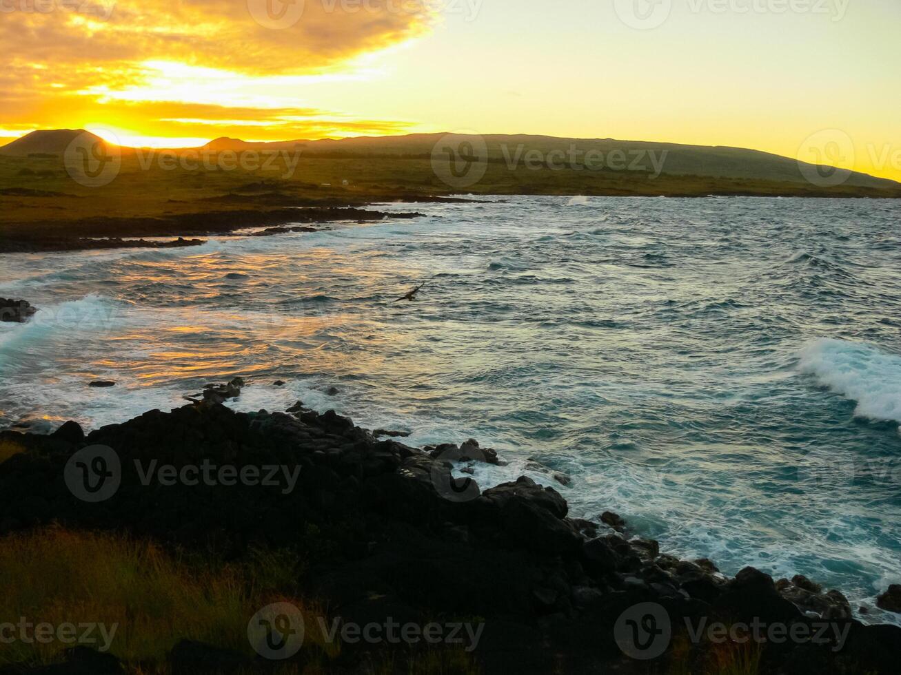 Easter Island coastline. Easter Island coast, rocks, ocean. photo