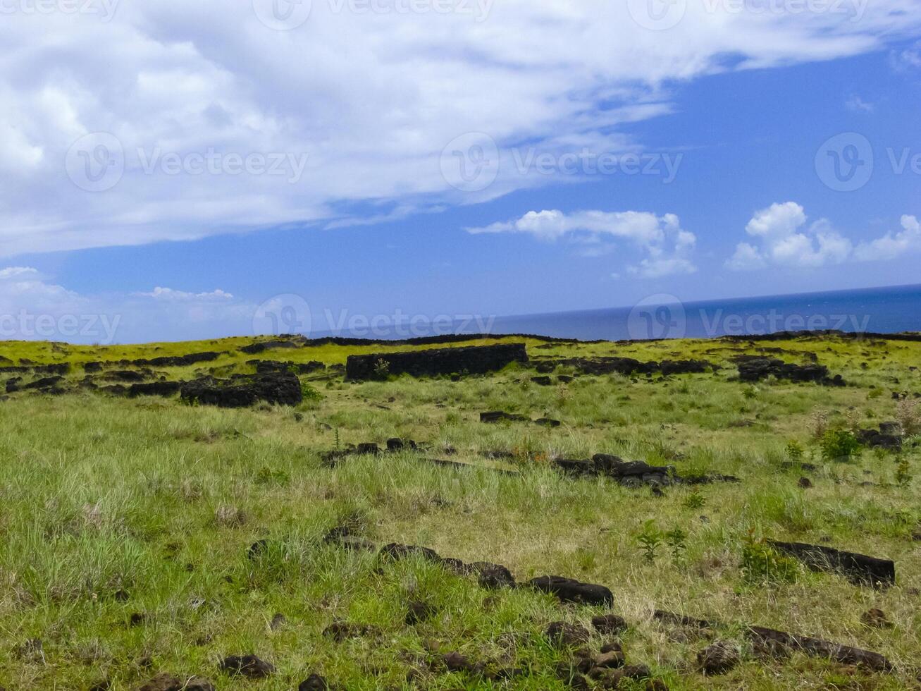 nature of Easter Island, landscape, vegetation and coast. photo