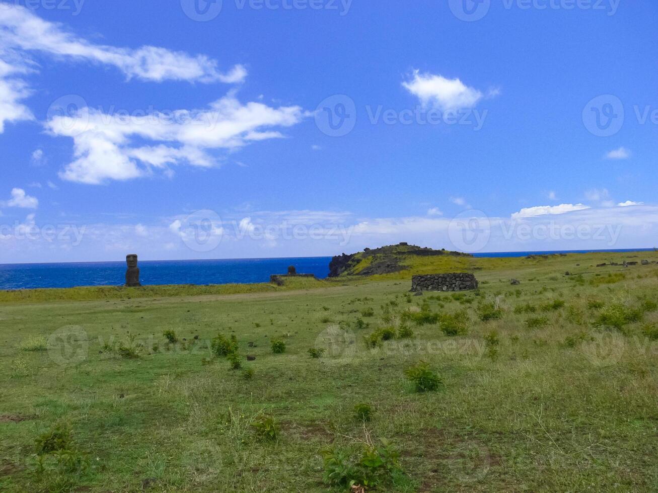 nature of Easter Island, landscape, vegetation and coast. photo