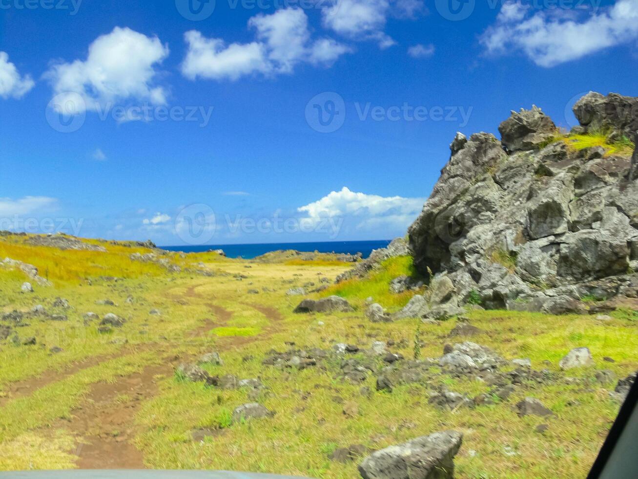 nature of Easter Island, landscape, vegetation and coast. photo