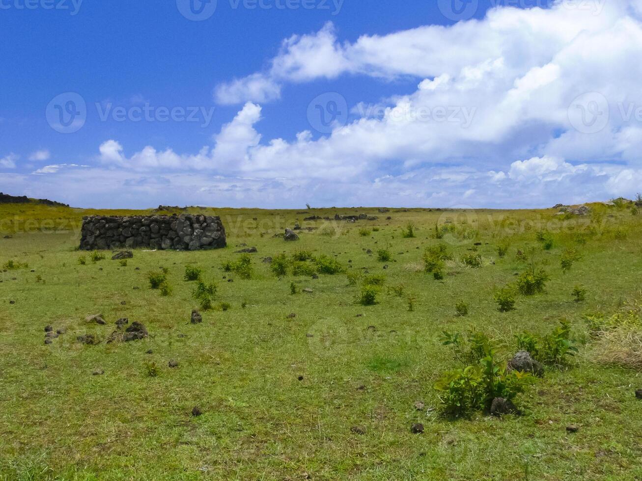 nature of Easter Island, landscape, vegetation and coast. photo