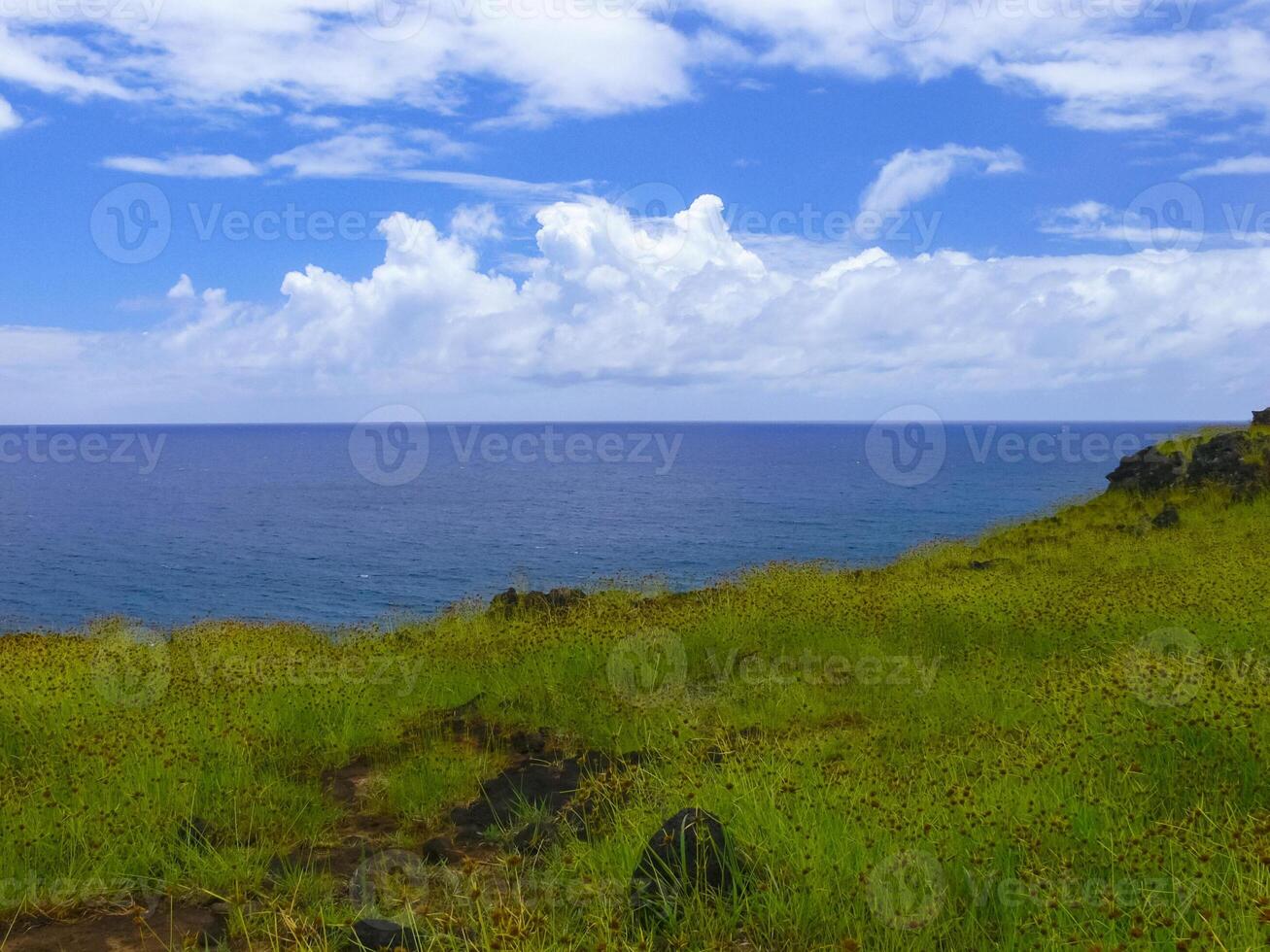 nature of Easter Island, landscape, vegetation and coast. photo