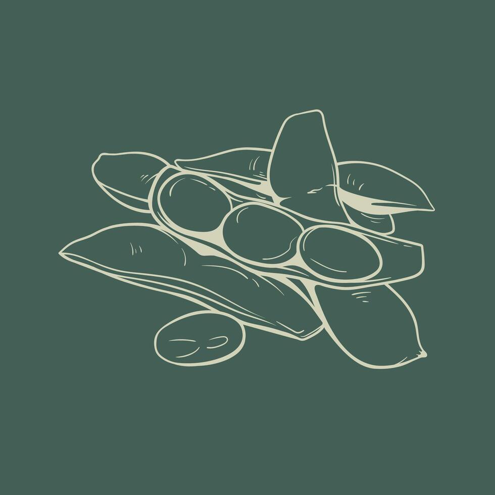 Minimalist Edamame Pod and Bean Illustration vector