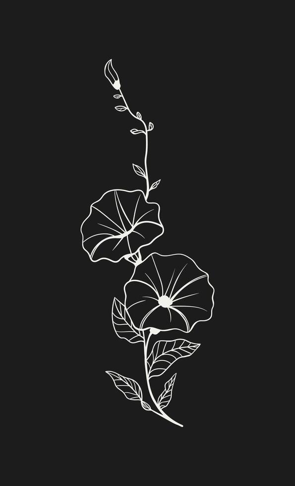 Minimalist floral illustration of a morning glory flower, with a focus on clean lines and simple shapes vector
