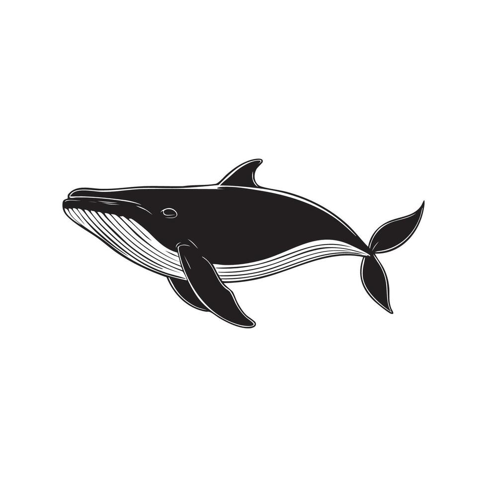 This article celebrates the majestic whales, exploring their behaviors, habitats, and the critical role they play in marine ecosystems. Protecting them ensures a healthier planet. vector