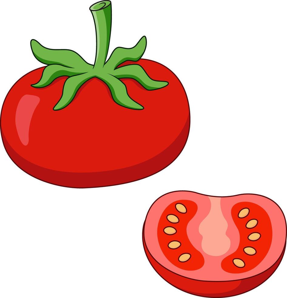 illustration of fresh tomato vector