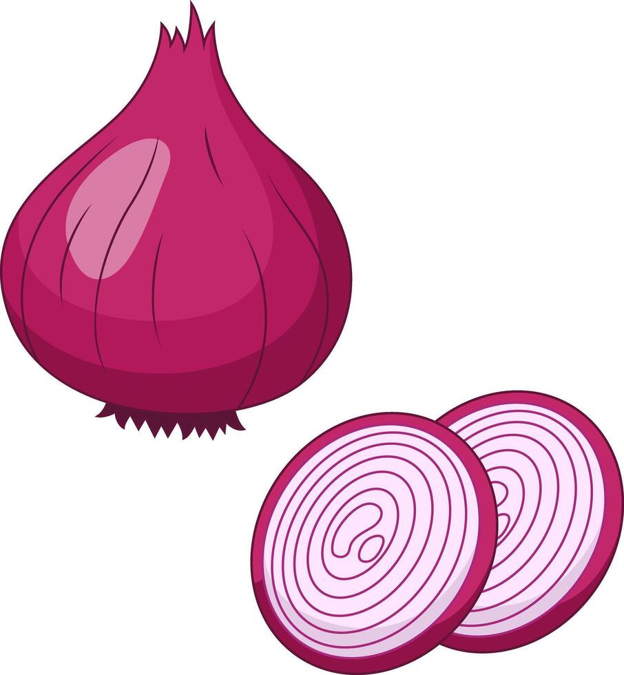 Fresh red onion illustration vector