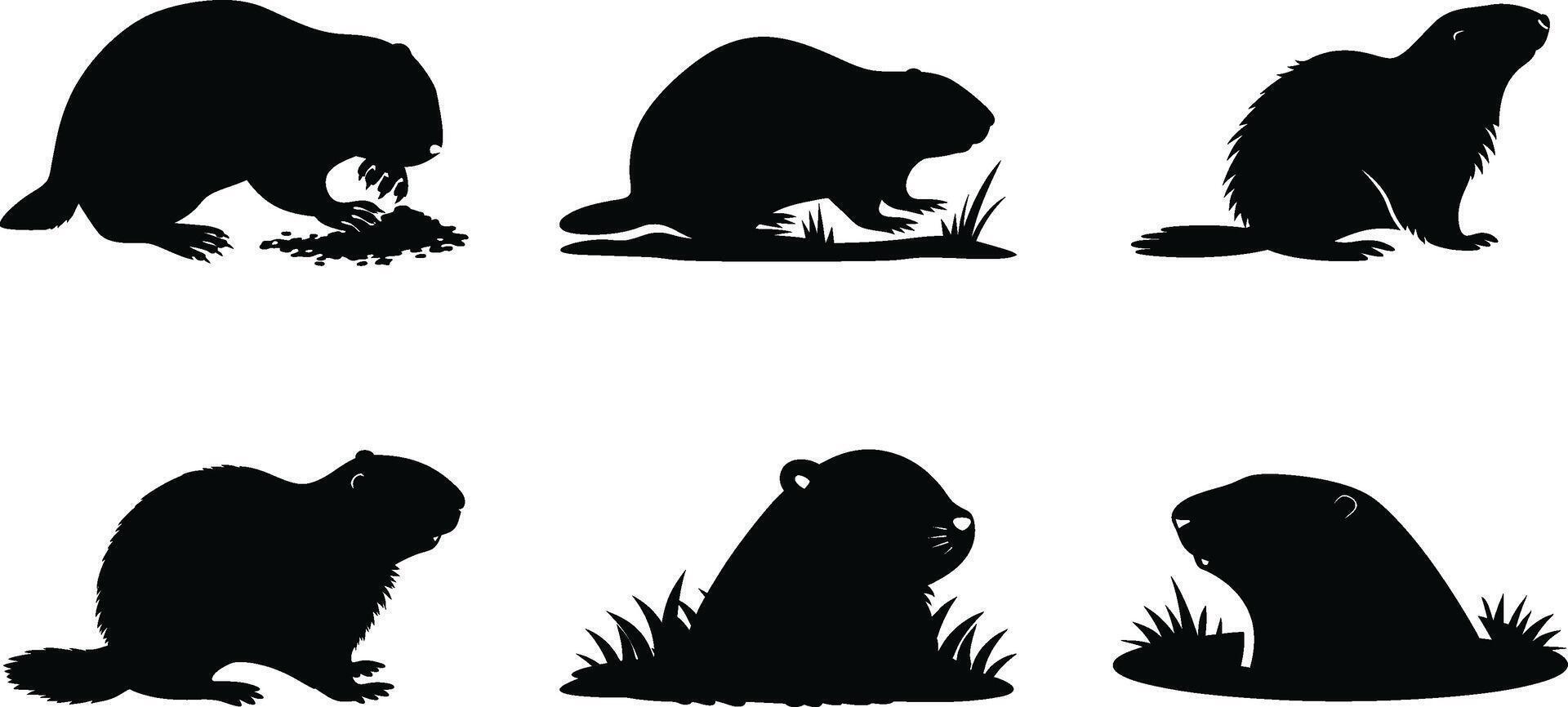 Set of Groundhog Silhouette vector