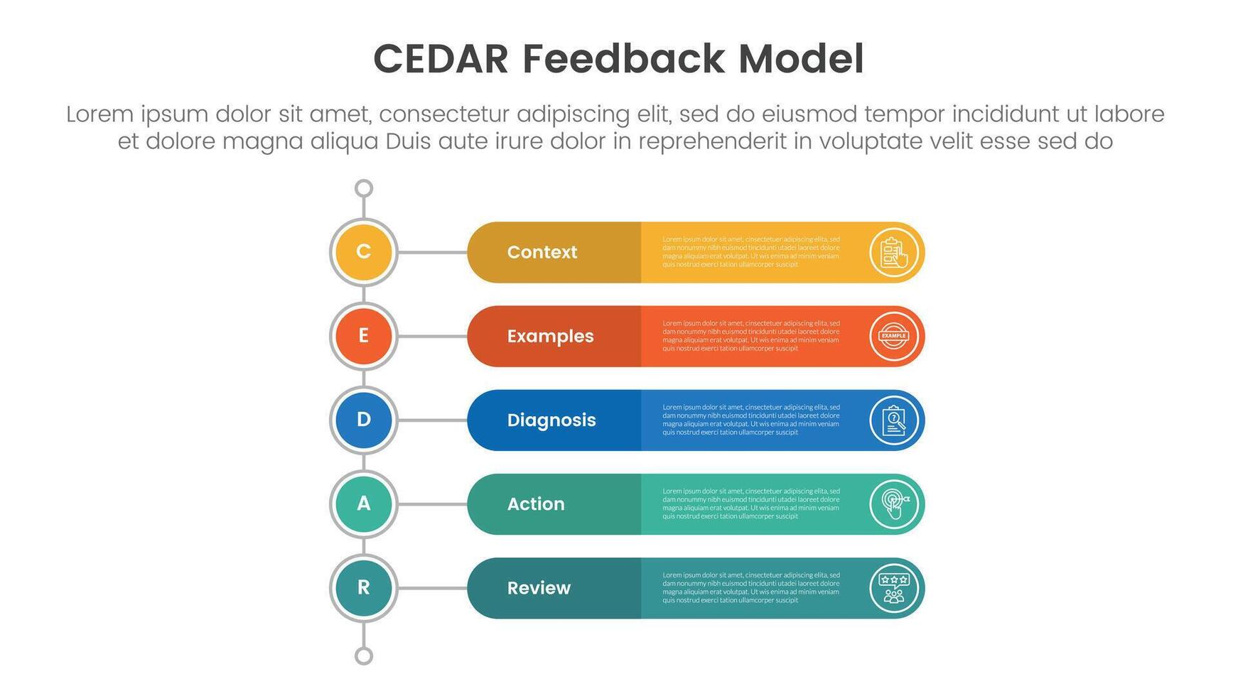CEDAR feedback model infographic template banner with vertical timeline style with round rectangle shape with 5 point list information for slide presentation vector