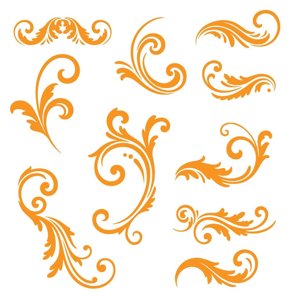 Elegant Swirl Collection for Decorative Art vector