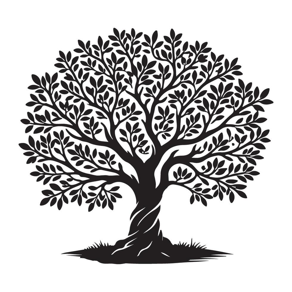 Detailed Olive Tree Silhouette Graphic vector