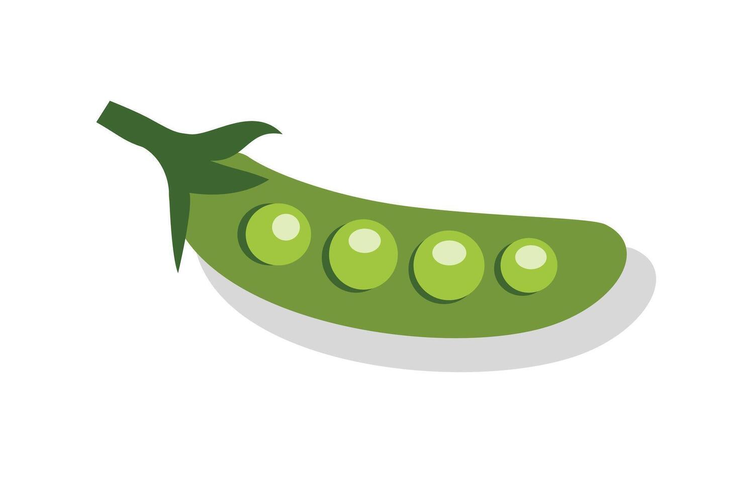 Green pea illustration. Peas illustration. Vegetable illustration. Green beans. Snap peas. Stink bean. vector