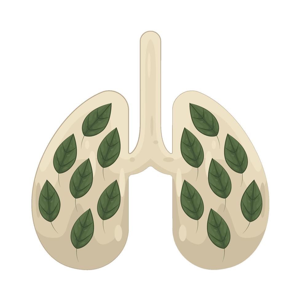 Illustration of green lungs vector