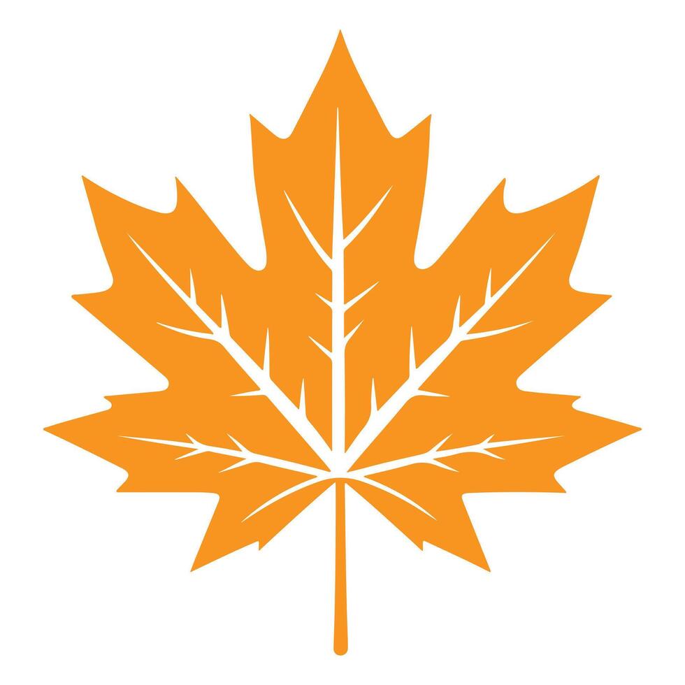 maple leaf isolated on a white background vector