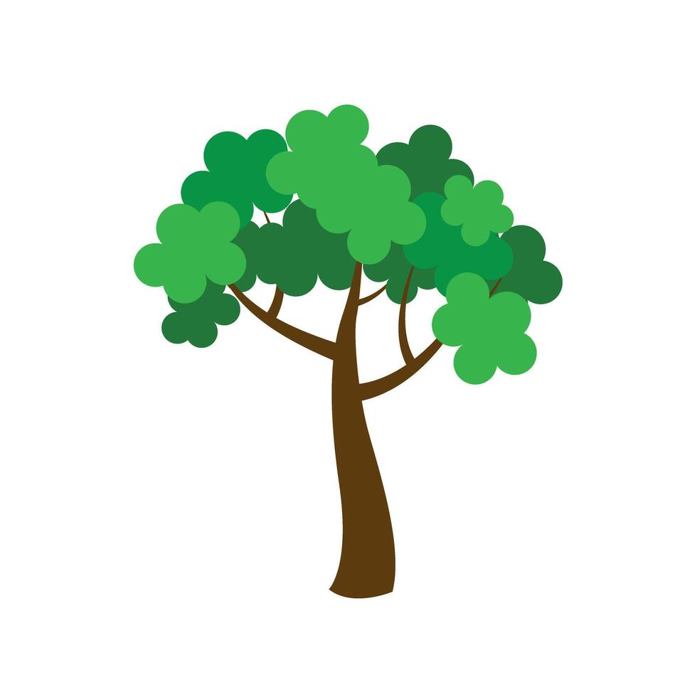 Green spring tree isolated. vector