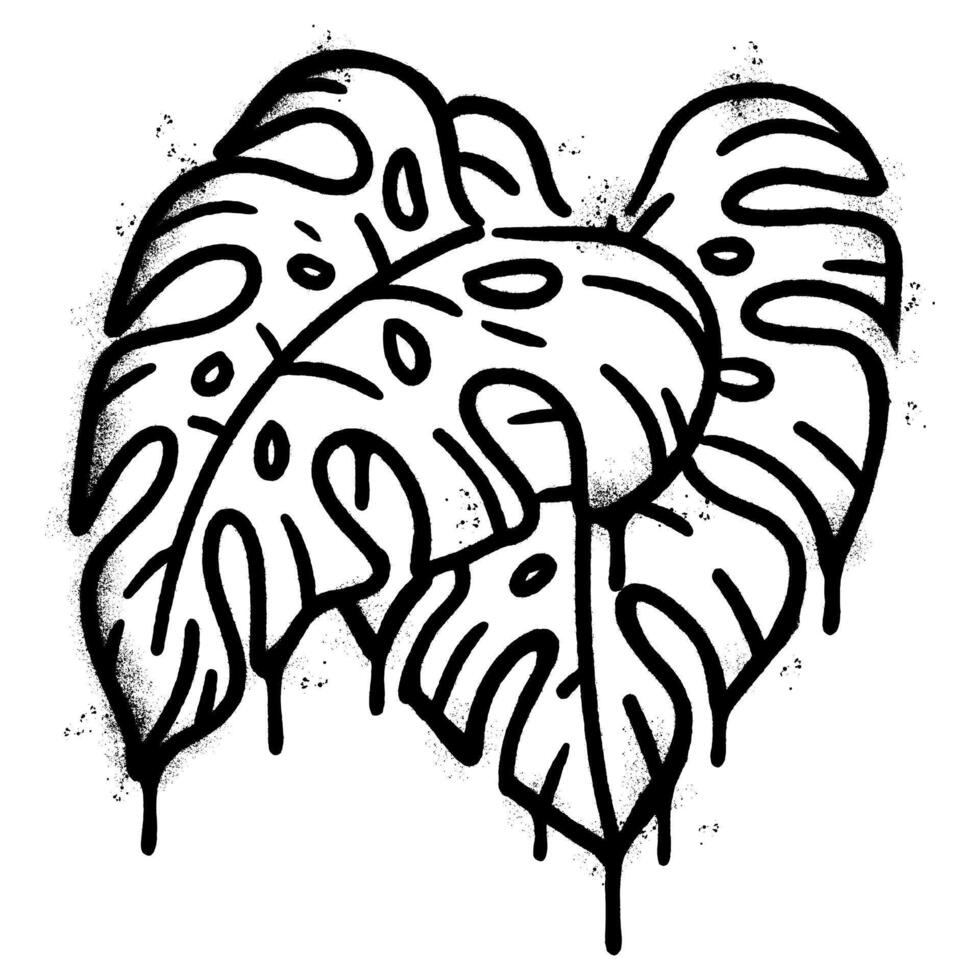 Spray Painted Graffiti monstera leaf isolated on white background. vector