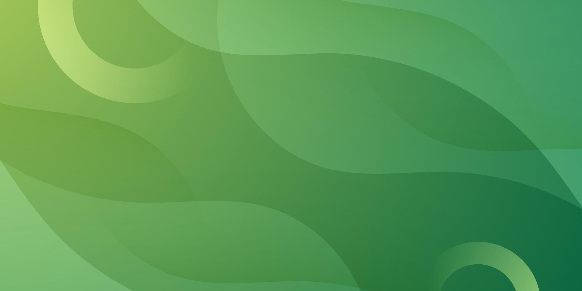 Abstract bright colorful green background with wave shape and shadow. Modern and simple background. vector