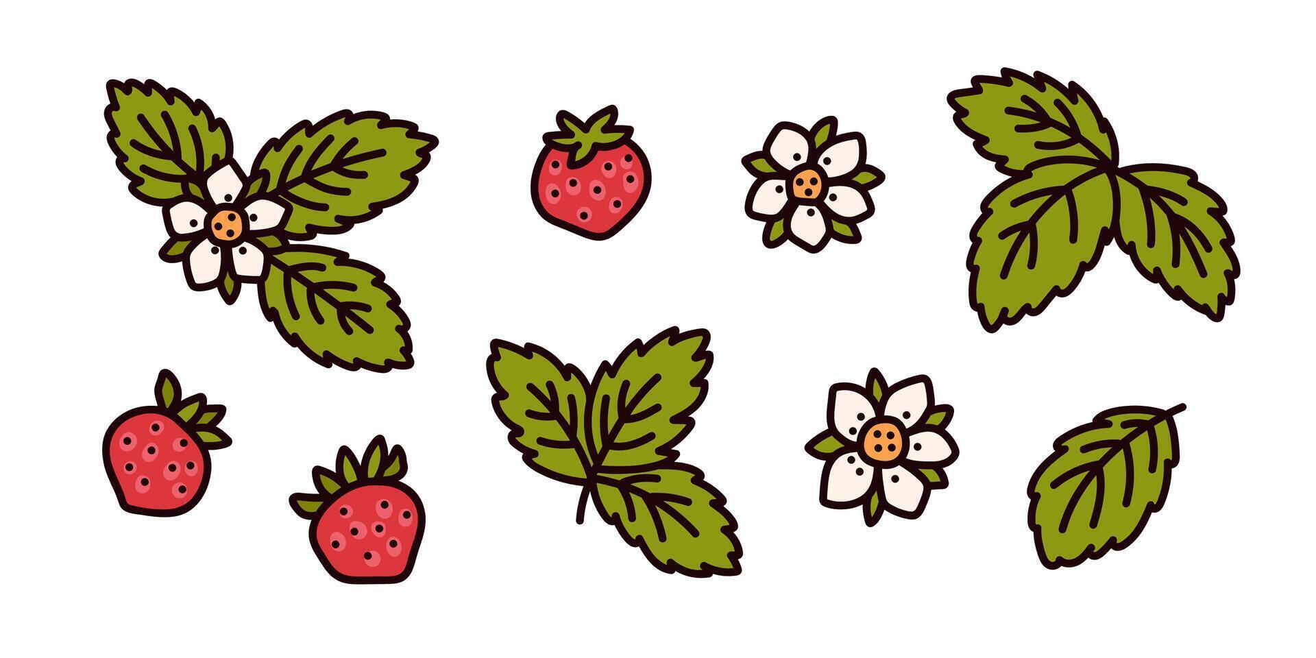 Set of forest wild strawberry seamless pattern. Botanical clipart sweet red berries, green leaves and cute flowers. Summer floral collection vector