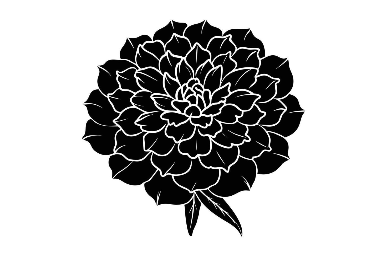 Marigold flower silhouette illustration vector