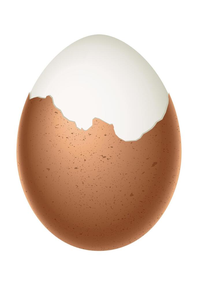 partially peeled egg, boiled egg with half peeled shell, illustration isolated on white background vector