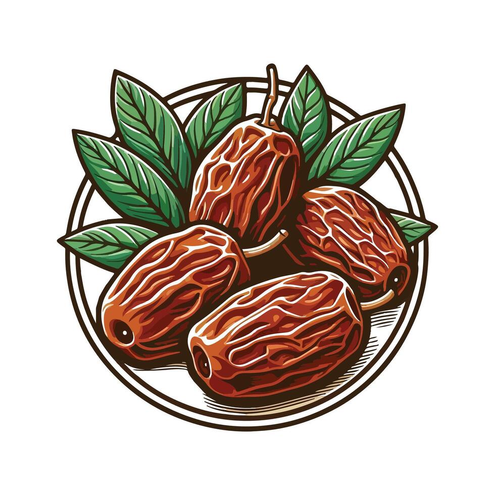 Dried Date Fruit Design vector