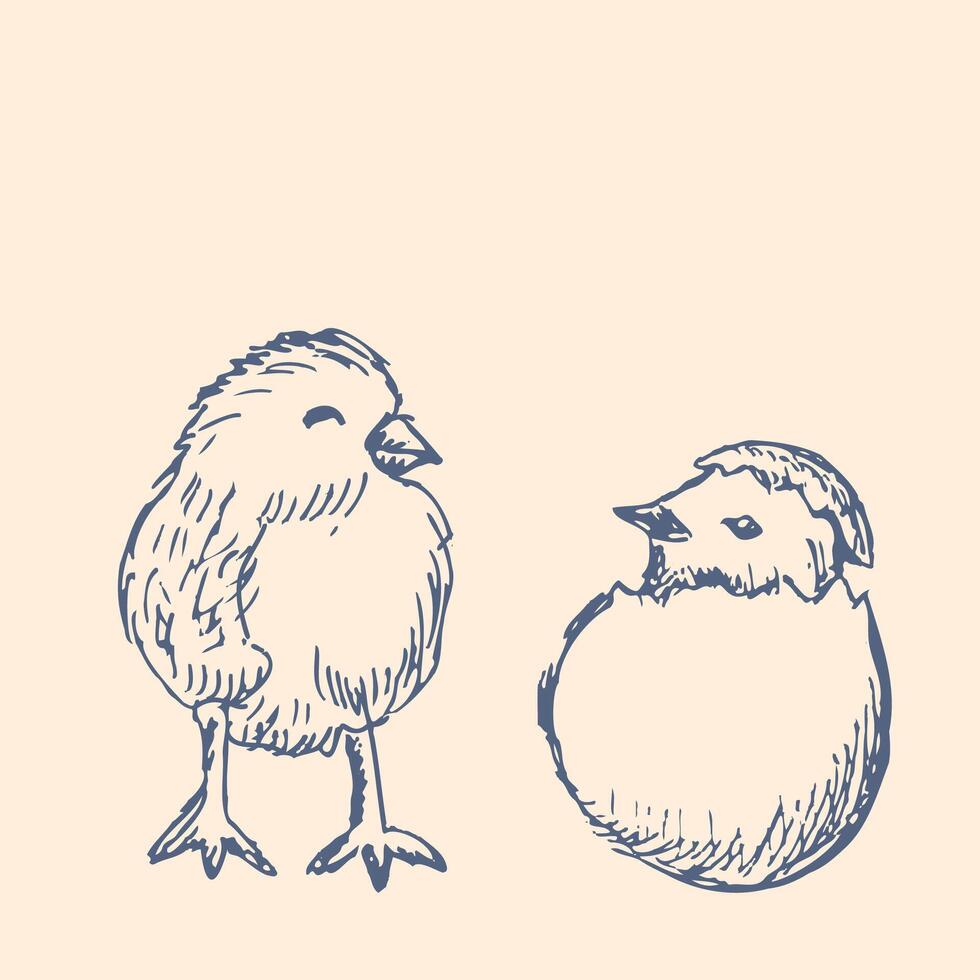 Happy easter graphic ink elements. Hand drawn outline sketch of egg, chicks vector