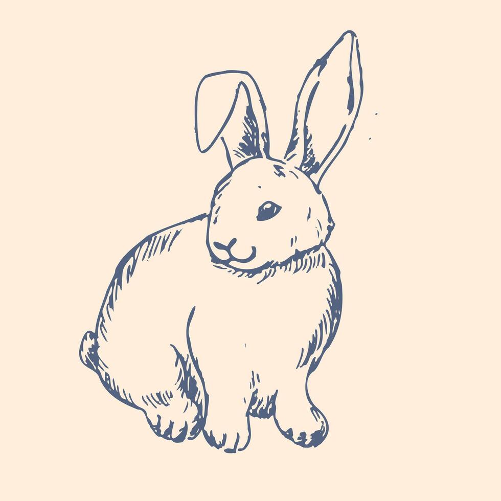 Happy easter graphic ink animal. Hand drawn outline sketch of bunny vector