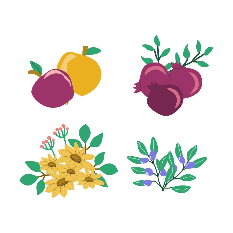 Colorful fruit and floral icons on a white background vector