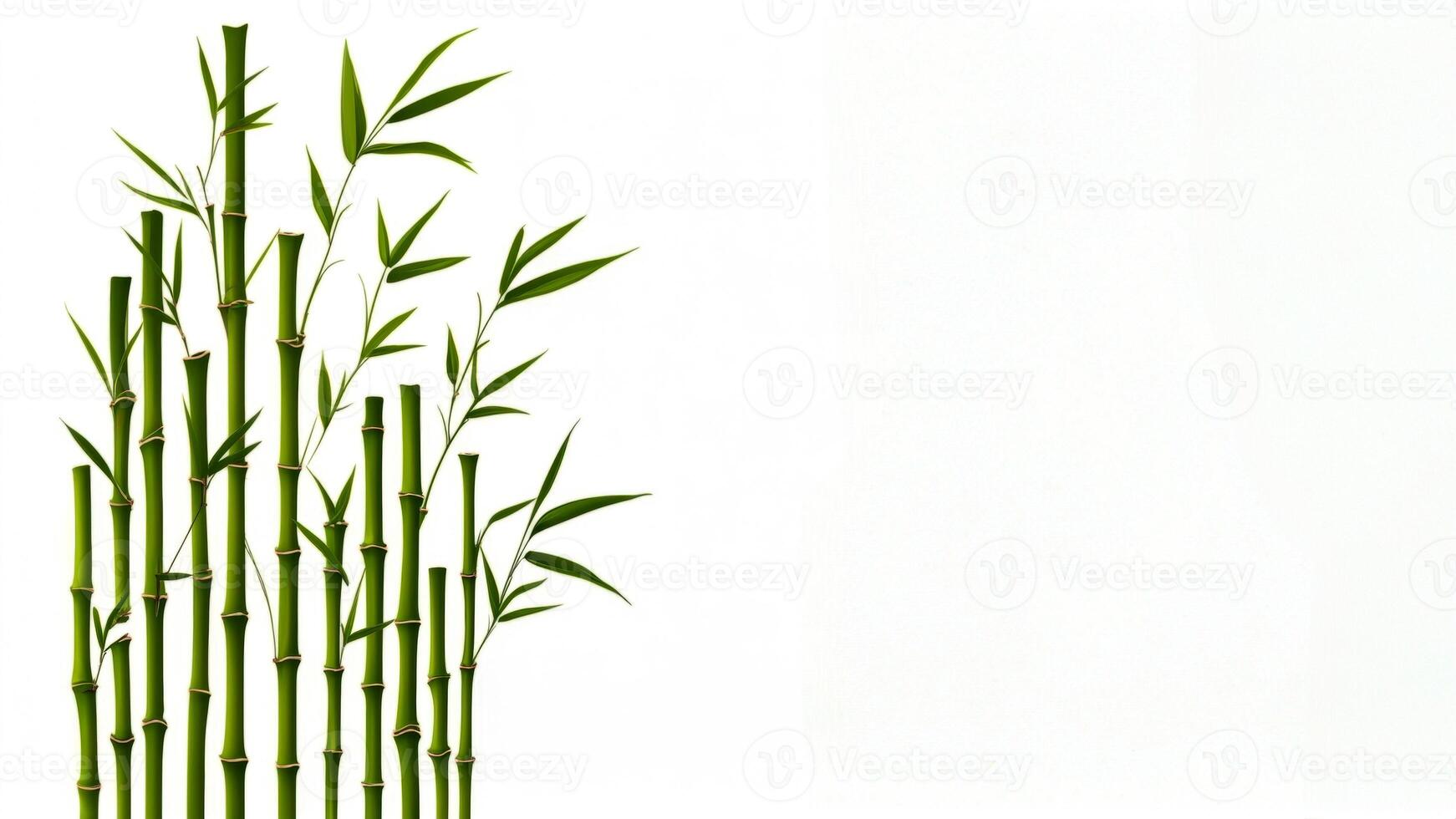 Green bamboo stalks grow vertically against a neutral background in a serene natural setting photo
