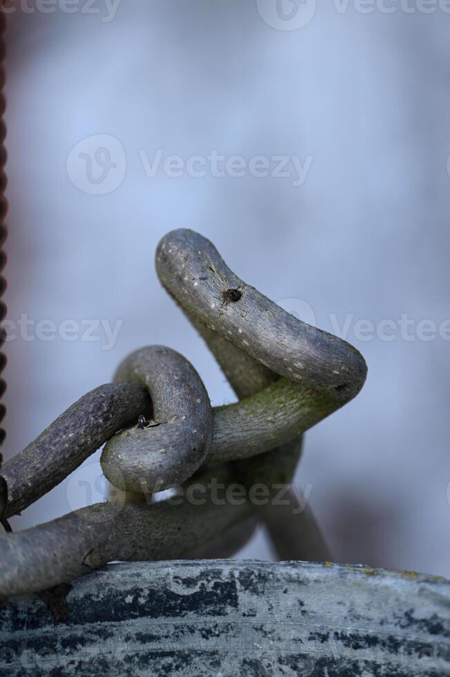 a close up of a chain and a metal object photo