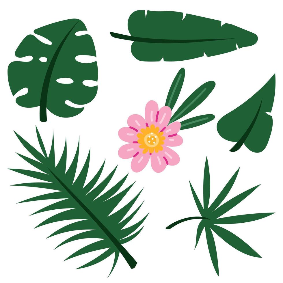 Tropical leaves. Exotic palm plants and flowers in a cartoon jungle. leaves of banana, philodendron, plumeria, and monstera are highlighted on a white background. set of leaves with a flower in middle vector