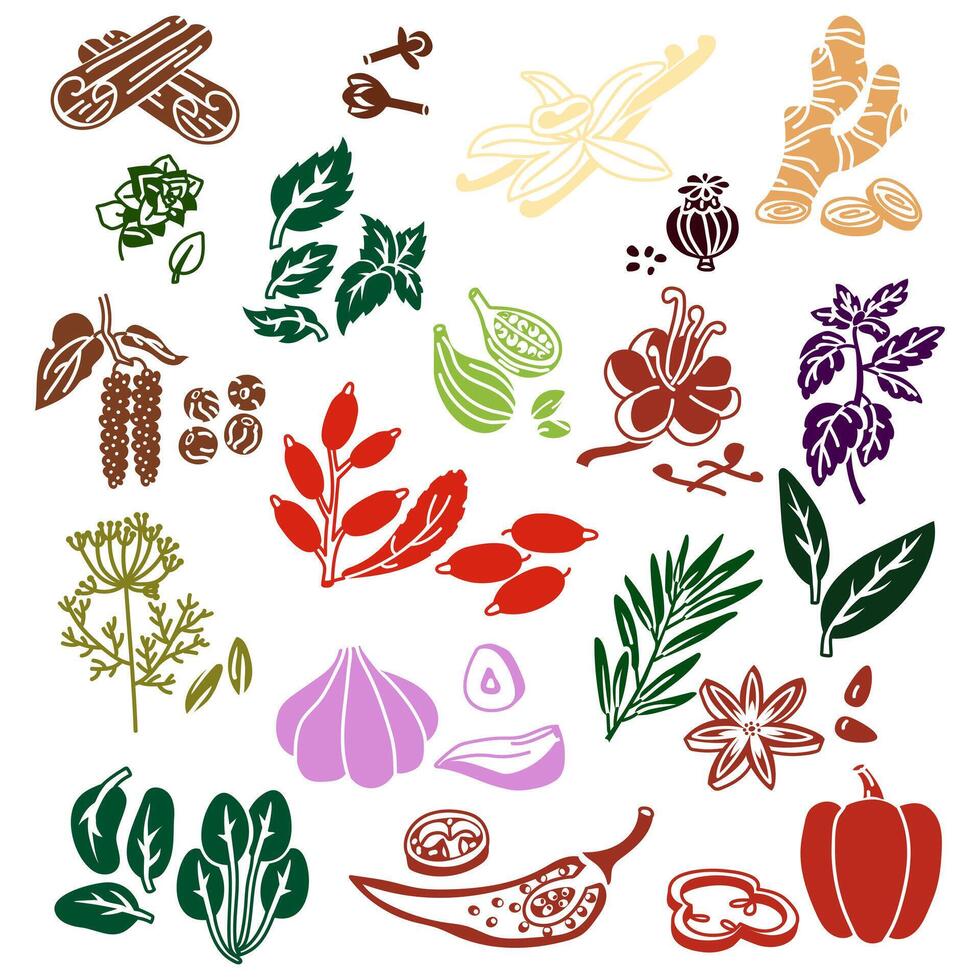 set of herbs and spices in the form of colored silhouettes, whole and in pieces on a white background. A variety of herbs, seeds, vegetables for different taste preferences. Lots of colorful pieces vector