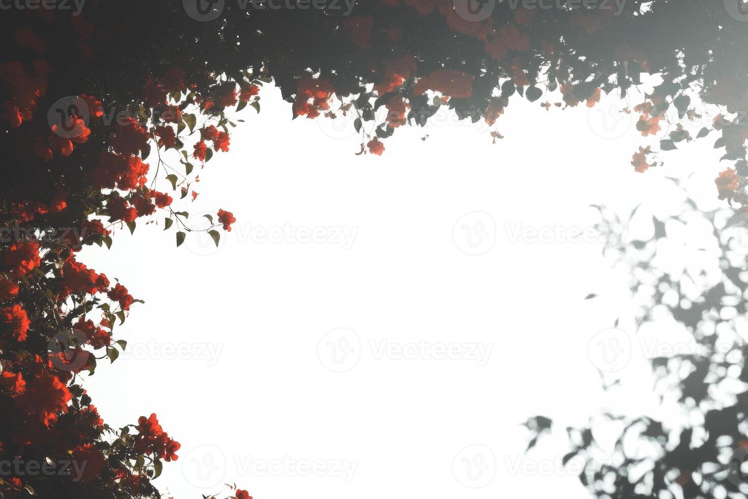 abstract background with bokeh lights photo