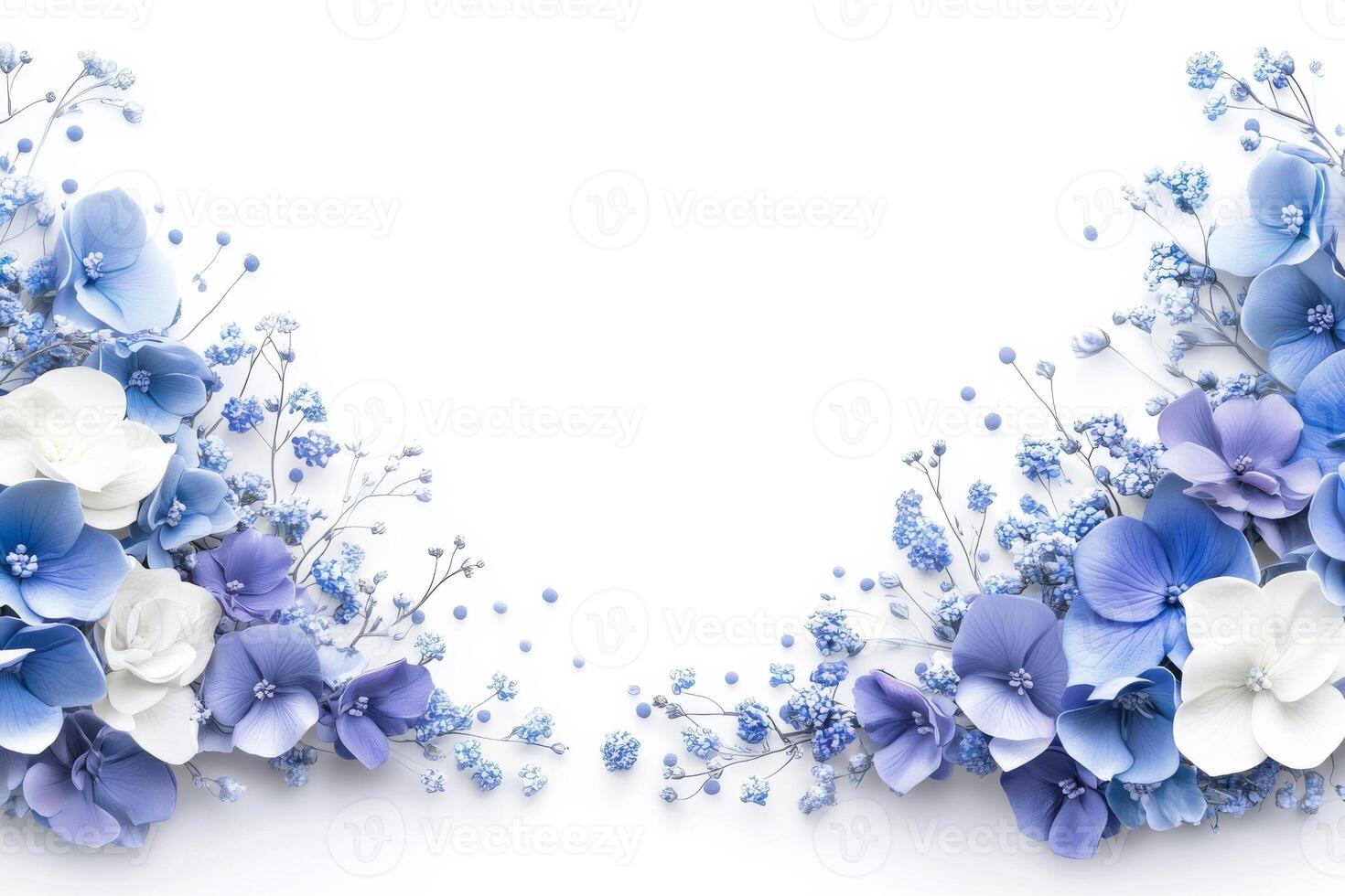 Blue and white flowers on a white background photo