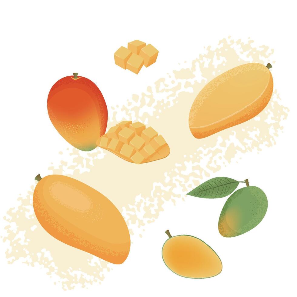 Detailed and Artistic Illustration of Mango in Various Forms with Rich Colors vector
