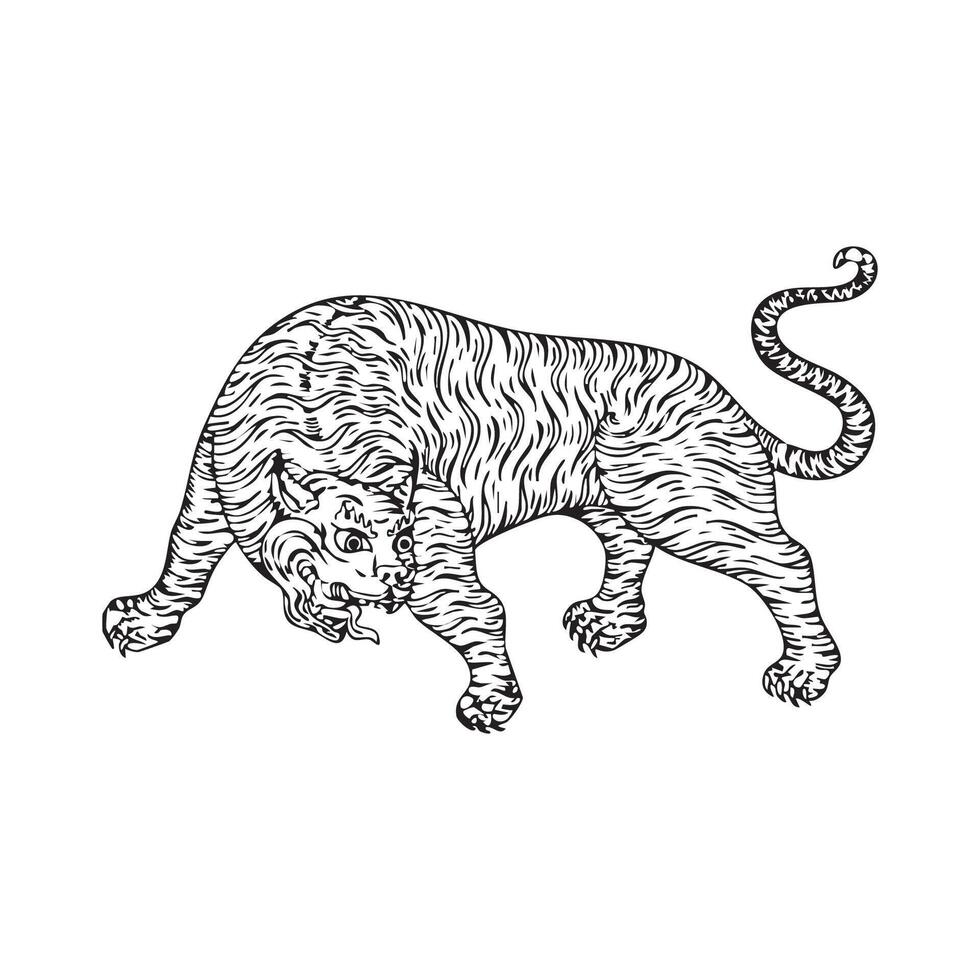 Tiger illustration isolated vector