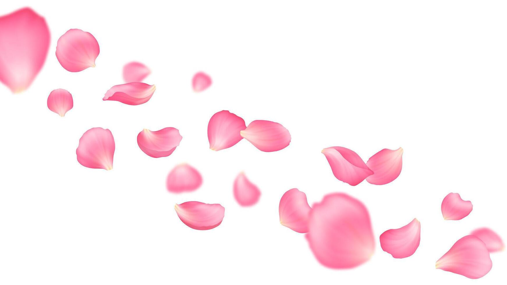 Flying pink rose, sakura flower petals background vector